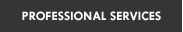 Professional Services