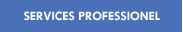 Professional Services