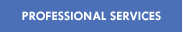 Professional Services